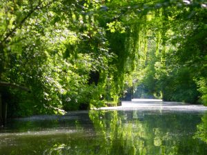 marais la frenaie