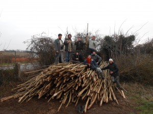 coupe de perches de frênes pour fabriquer des yourtes