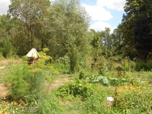 jardin pédagogique