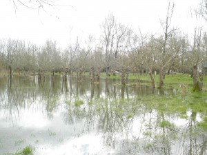 la crue au camping