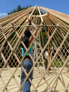 montage yourte en douglas