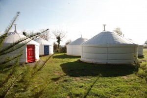 Yourte d'habitation